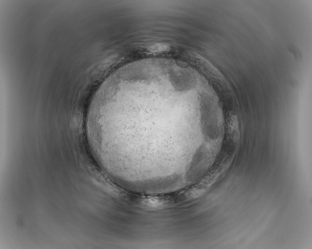 X0000111010565200907060957