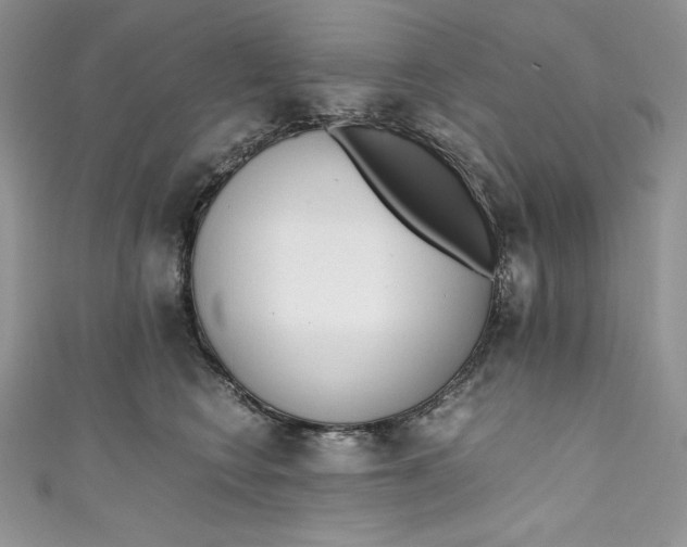 X0000111010566200907060957