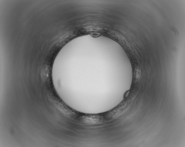 X0000111010567200907060957