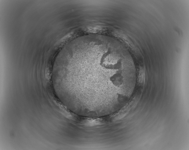 X0000111010569200907060957