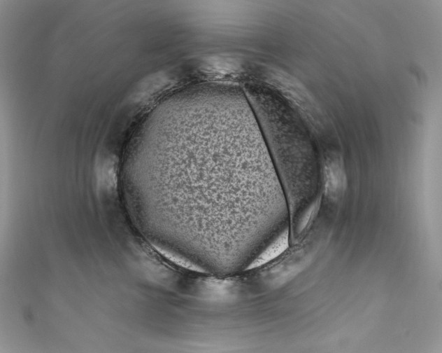 X0000111010570200907060957