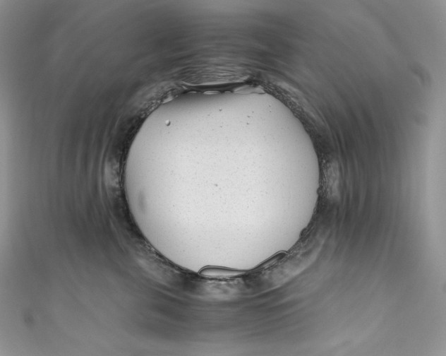 X0000111010571200907060958