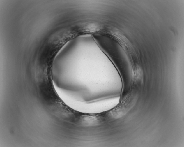 X0000111010572200907060958