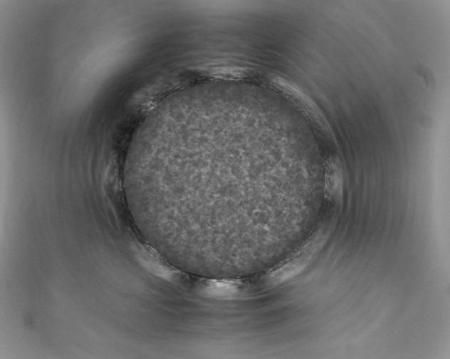 X0000111010573200907060958