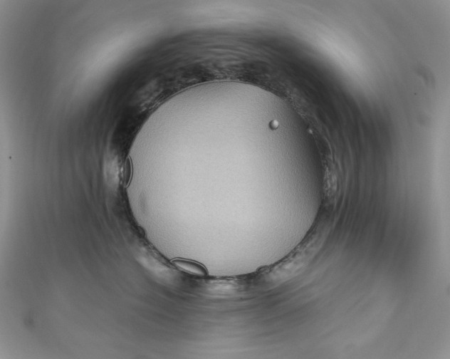 X0000111010574200907060958