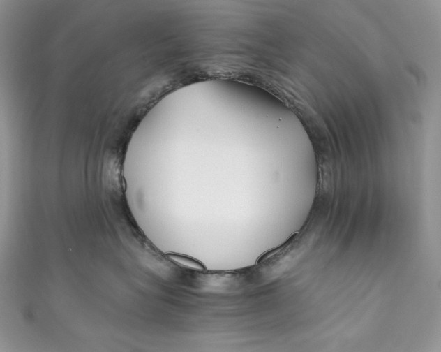 X0000111010575200907060958