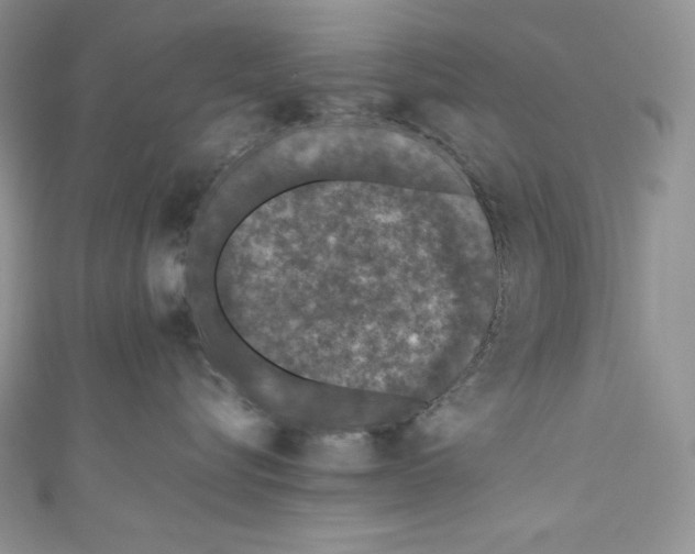 X0000111010576200907060958