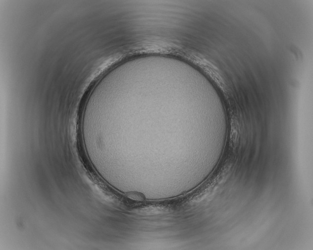X0000111010578200907060957