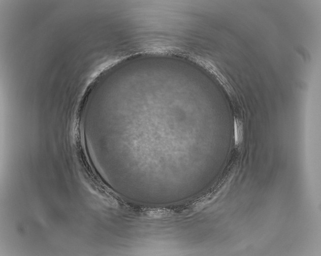 X0000111010579200907060957