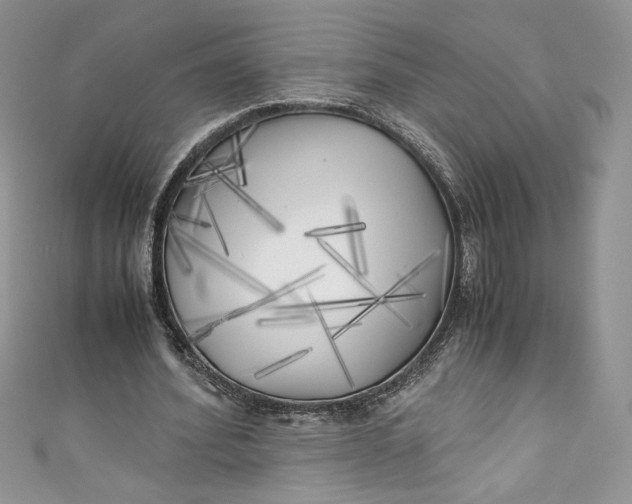X0000111010580200907060957