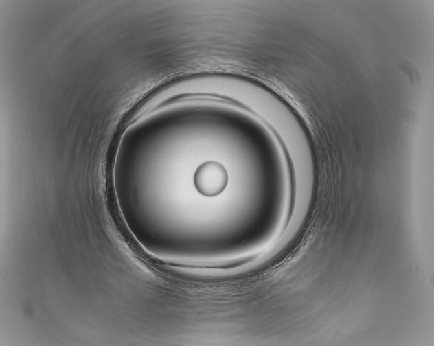 X0000111010581200907060957