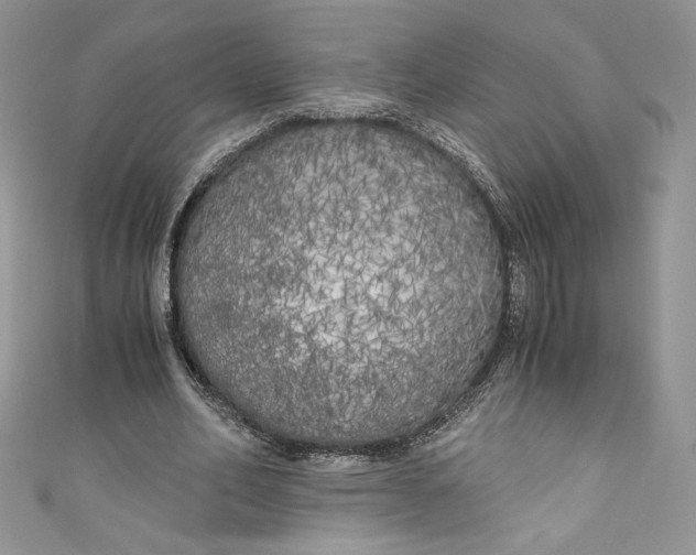 X0000111010582200907060957