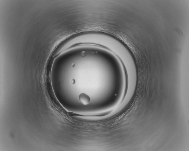 X0000111010583200907060957