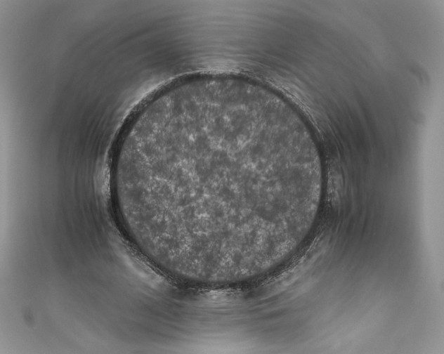 X0000111010584200907060957