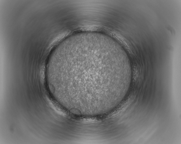 X0000111010586200907060957