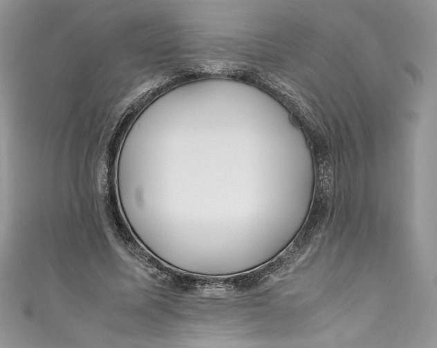 X0000111010587200907060957