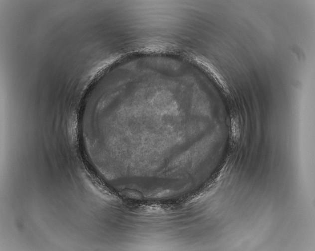 X0000111010588200907060957