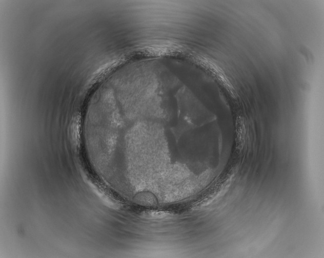 X0000111010590200907060957