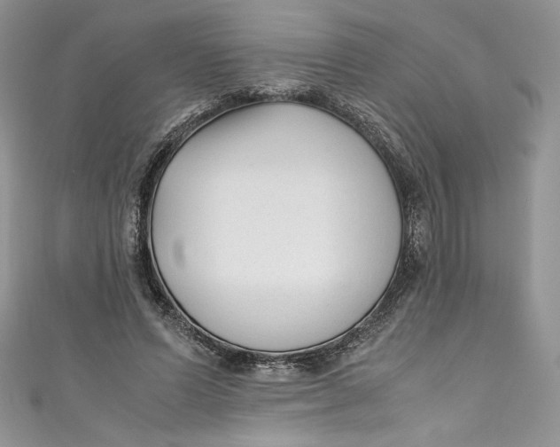 X0000111010591200907060957