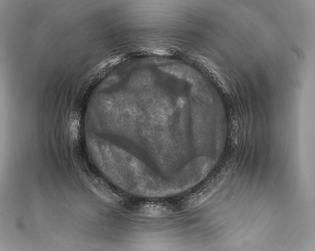 X0000111010596200907060957