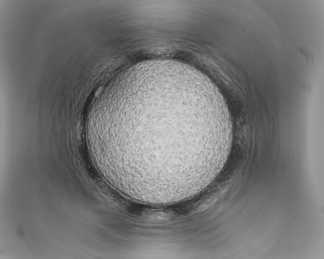 X0000111010597200907060957