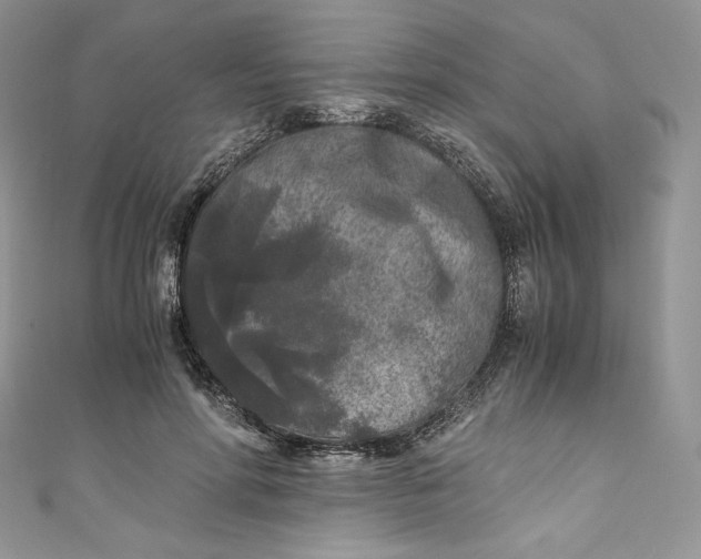 X0000111010598200907060957