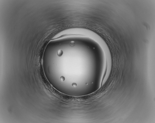 X0000111010599200907060957