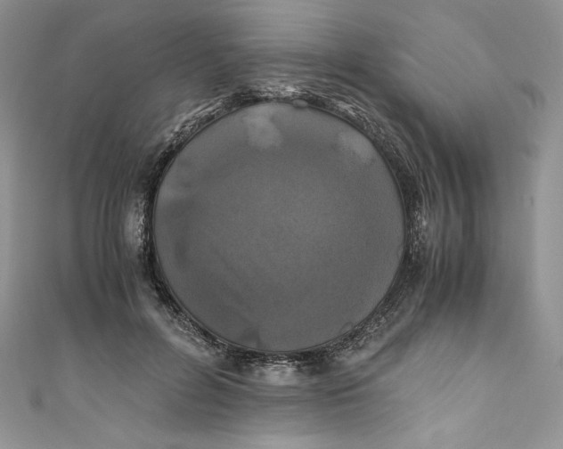 X0000111010600200907060957