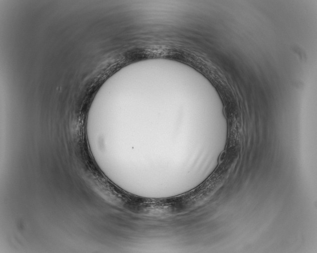 X0000111010601200907060957