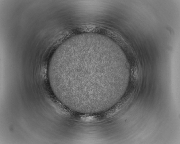 X0000111010602200907060957