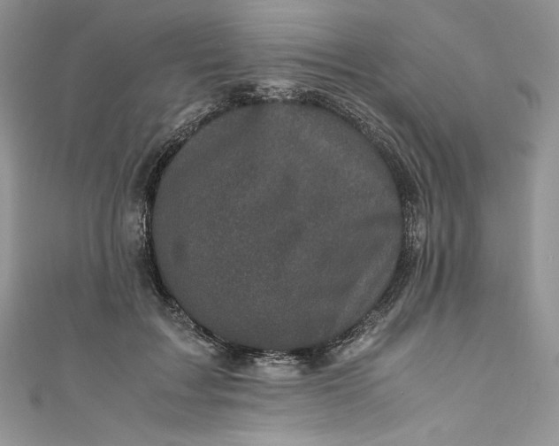 X0000111010603200907060957