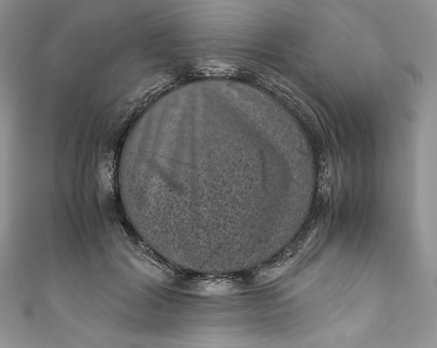 X0000111010604200907060957