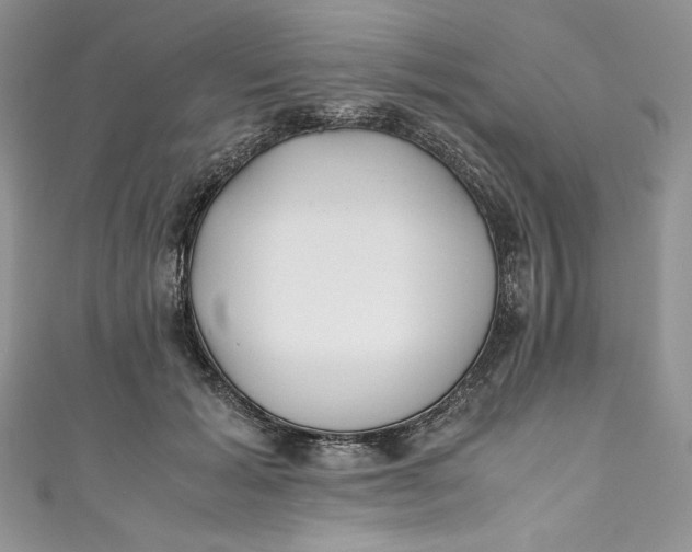 X0000111010605200907060957