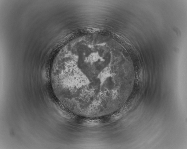 X0000111010606200907060957