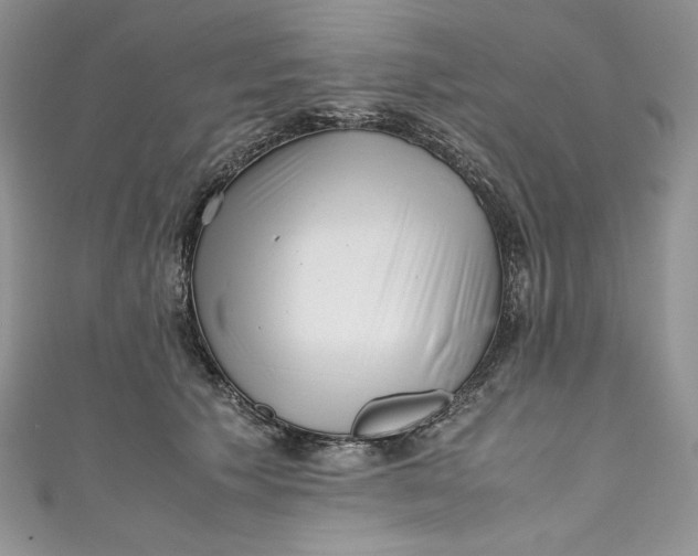 X0000111010609200907060957