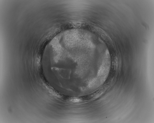 X0000111010610200907060957