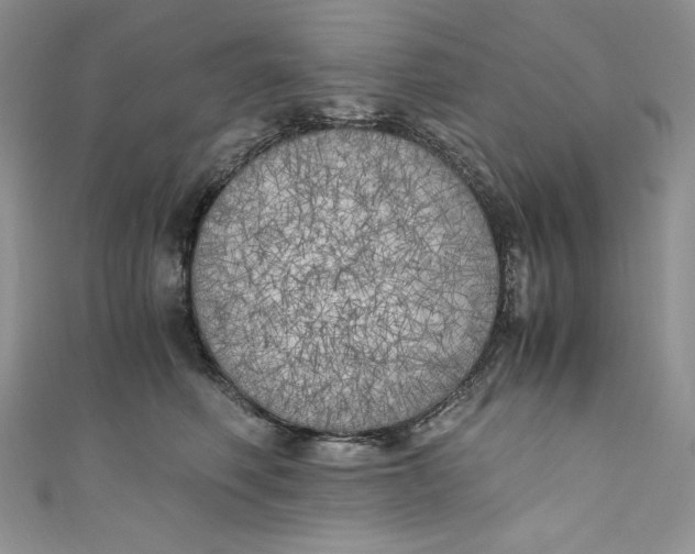 X0000111010614200907060956