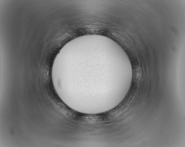 X0000111010615200907060956