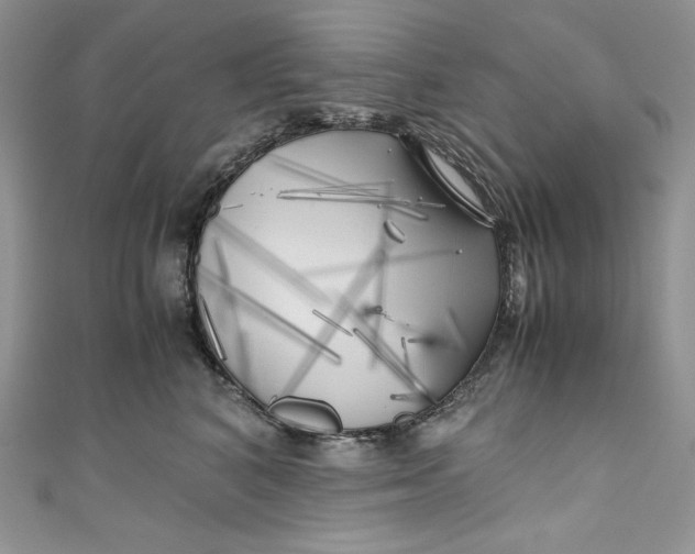 X0000111010616200907060956