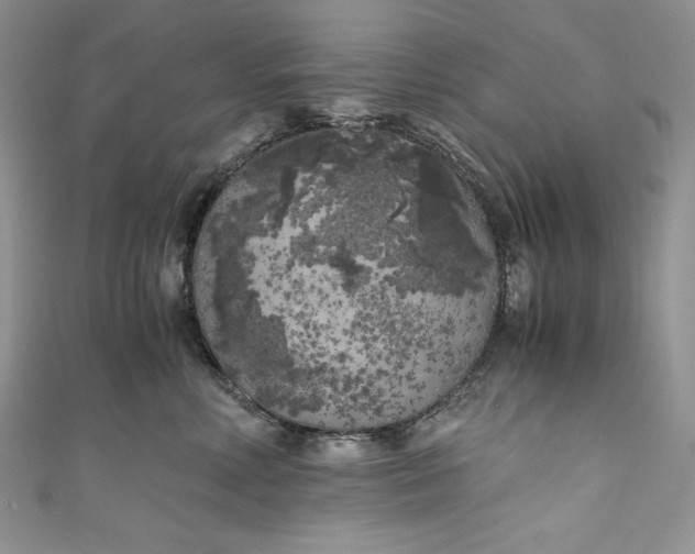 X0000111010618200907060956