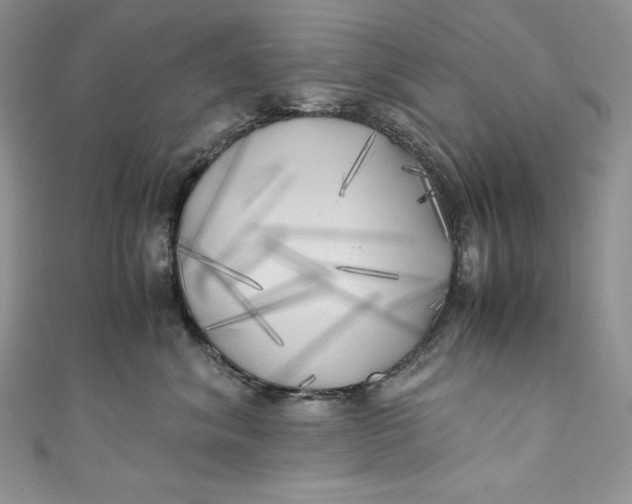 X0000111010620200907060956