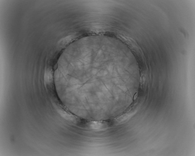 X0000111010623200907060956