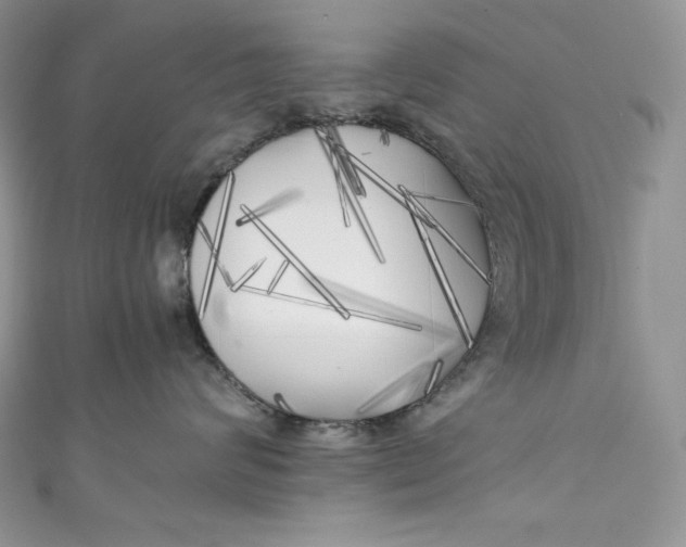 X0000111010624200907060956