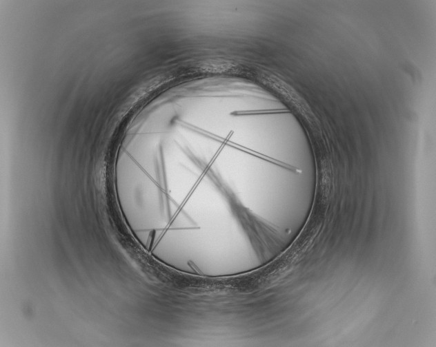 X0000111010626200907060956