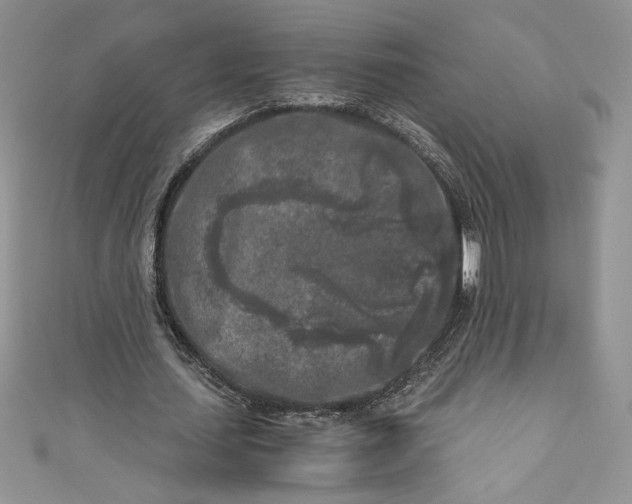 X0000111010627200907060956