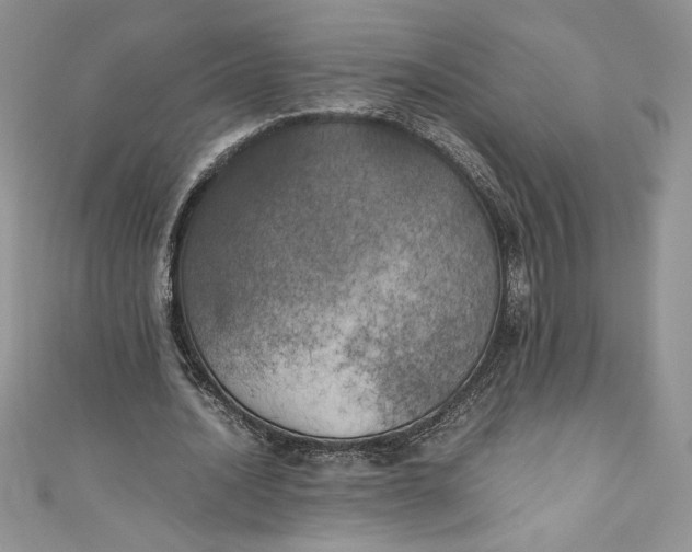 X0000111010628200907060956