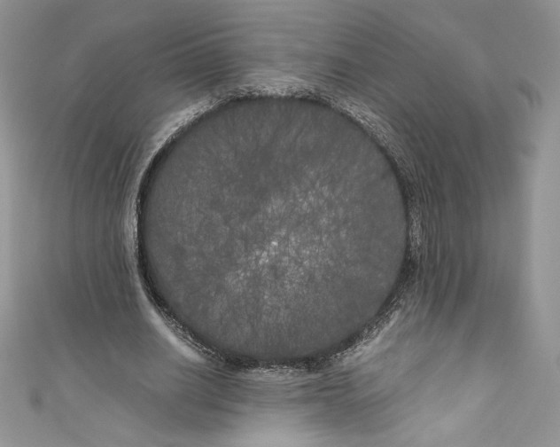 X0000111010630200907060956