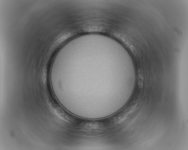 X0000111010631200907060956
