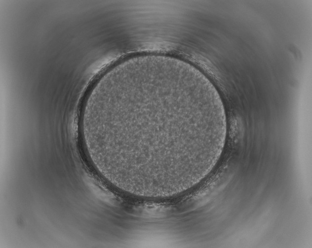 X0000111010632200907060956