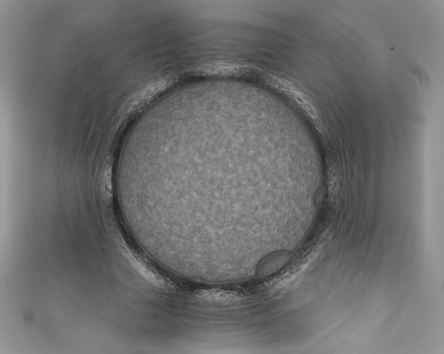 X0000111010633200907060956
